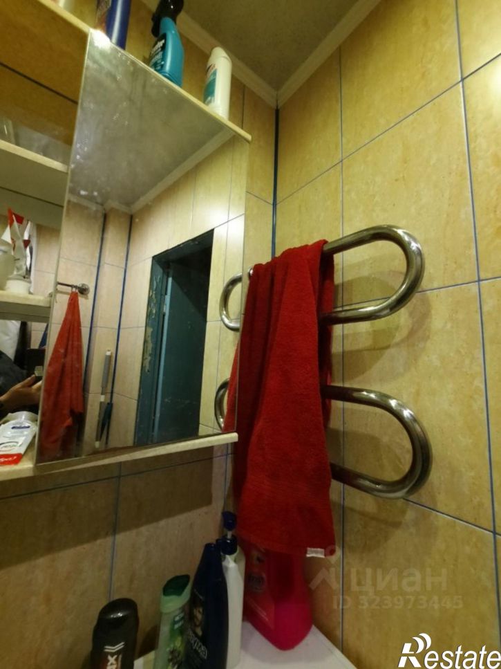 2-комн квартира ул Лепешинского, 10,  д. 10