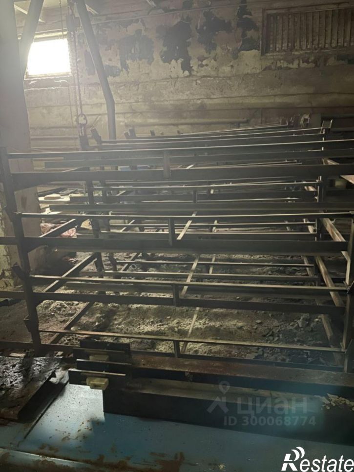 Производственное помещение улица Яна Райниса, 53,  д. 53