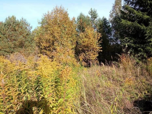 Продажа дома садоводческое некоммерческое товарищество Ветеран