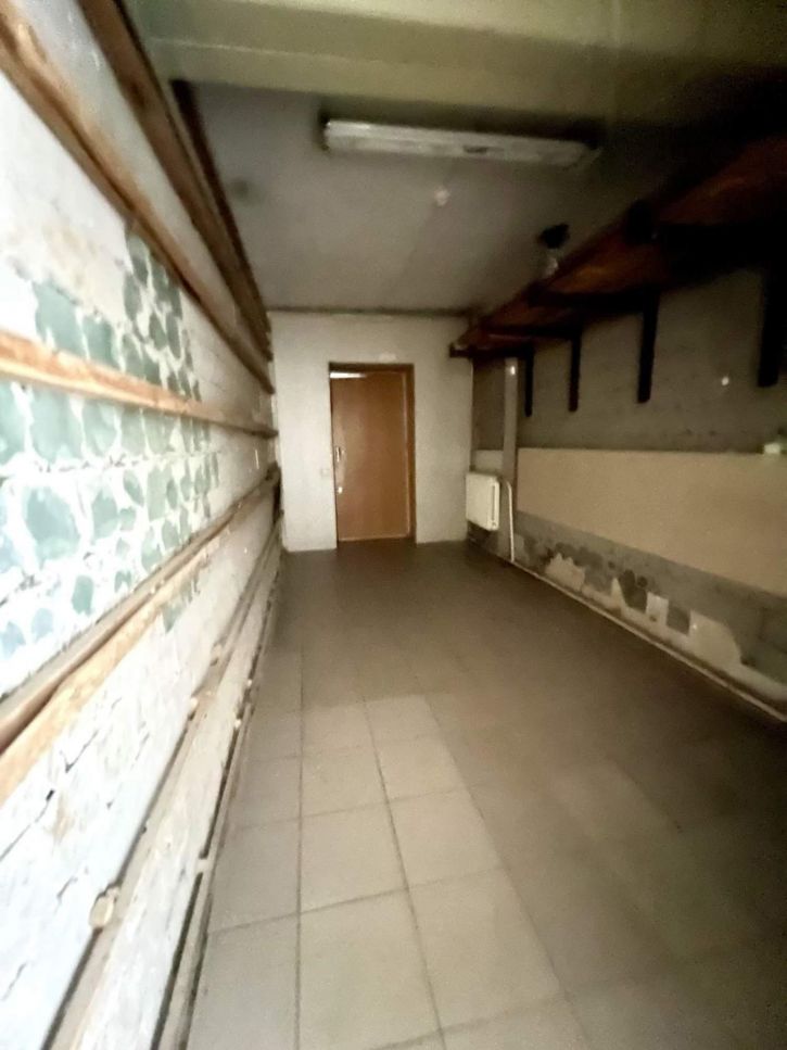 Торговое помещение Ижорского Батальона улица, д.24
